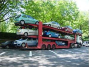 Carriers