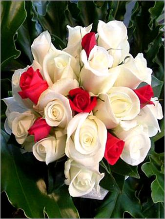 Perfumes & Fragrances