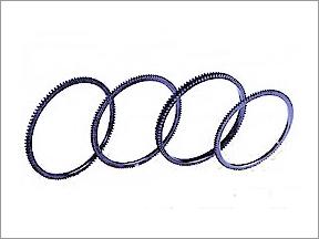 Flywheel Ring