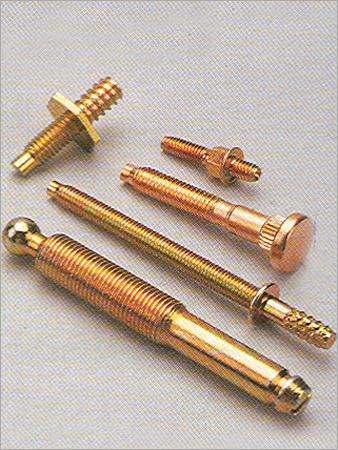 Special Screw