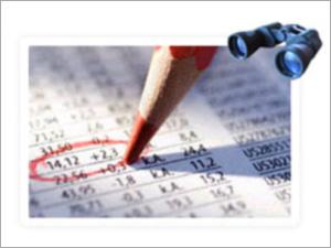Financial Investigation Services