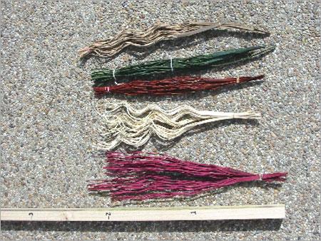 Coco Spiral Bunch of 5 Natural