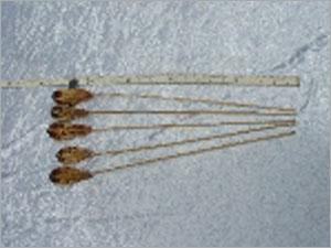 Mahogany Pods of Stem