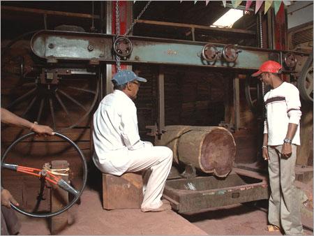Horizontal Band Saw Machine for Cutting Rosewood Logs