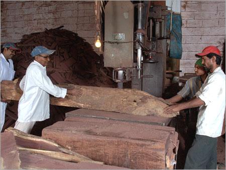 Vertical Band Saw Machine for Preparing Blocks of Rosewood Back & Sides