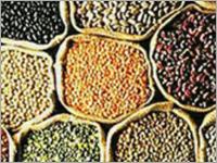 Agro Products