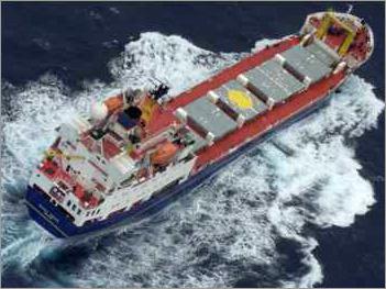 Packing & Moving Services-Sea