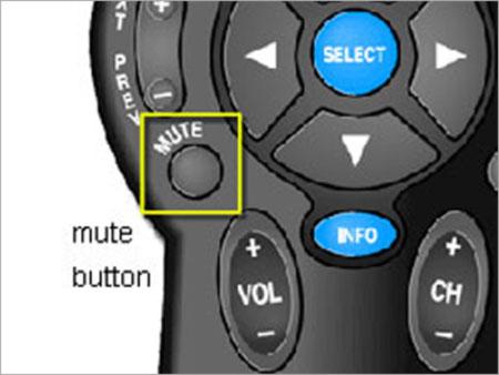 Wireless Auto Muter System