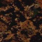 Baltic Brown