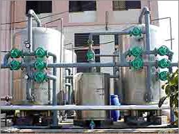 Dm Plant