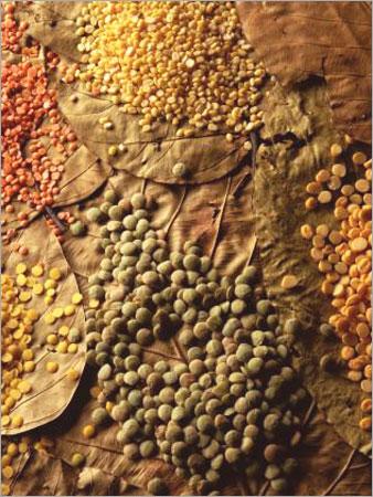 Pulses