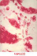 Handmade Handwork paper