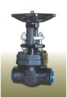 Forged Steel Gate Valves