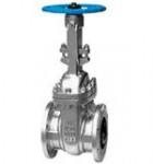 Cast Steel Gate Valves