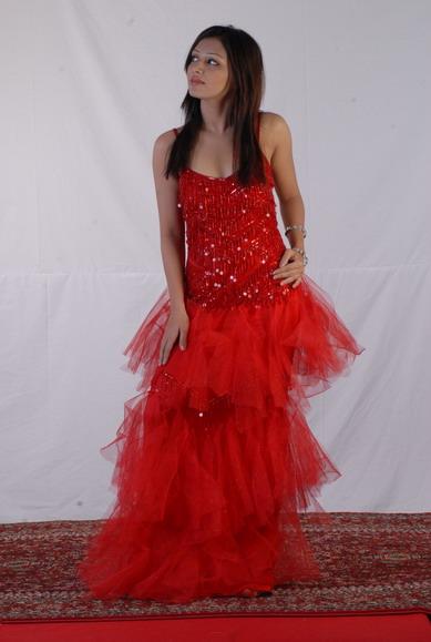 Evening Dress