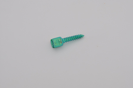 Monoaxial Pedicle Screws