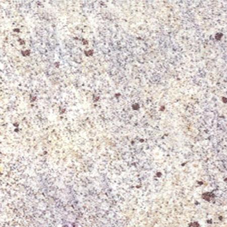 Kashmir White Granite