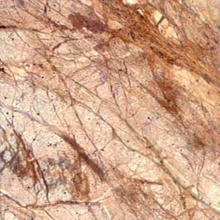 Bidasar Sandstone