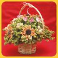 Potpourri