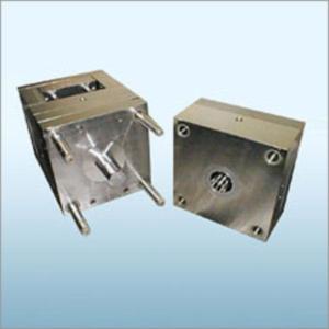 Injection Molding Die