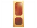 2 Panel Textured Door