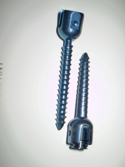 Mono axial Screw 4.5 mm DIA