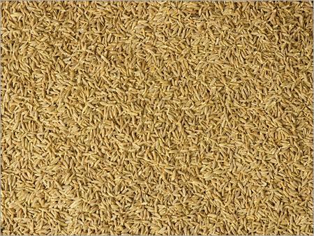 CUMIN
