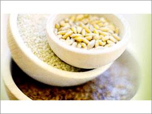Spices & Seasonings