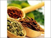 Spices