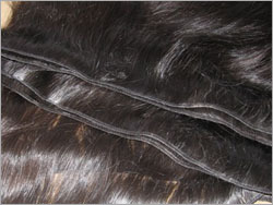 Human Hair & Accessories