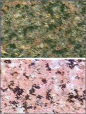 Rakhi Green & Rossy Pink