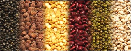 Lentils and Pulses