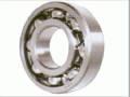 Ball & Roller Bearings