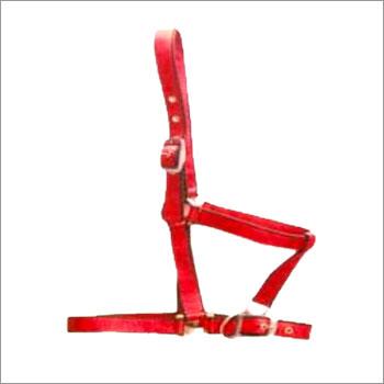 PP Halter