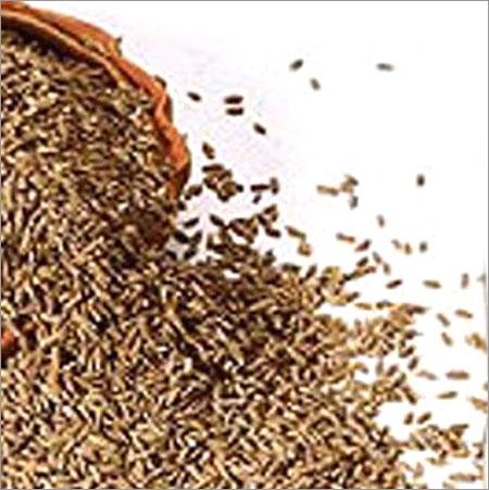 Cumin Seeds