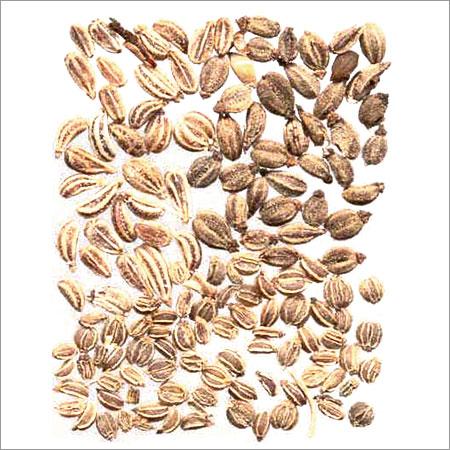 Ajwain Seeds
