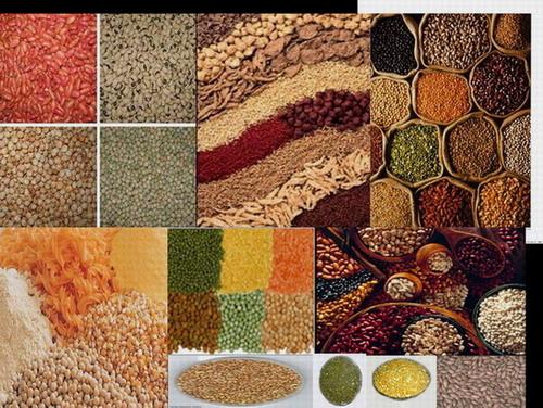 Grains PulsesCerealsHerbals
