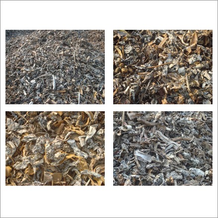 Shredded Scrap Shredded Scrap