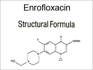 Enrofloxacin