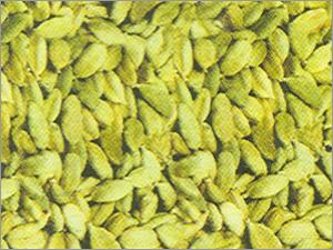 Ilaichi / Green Cardamom