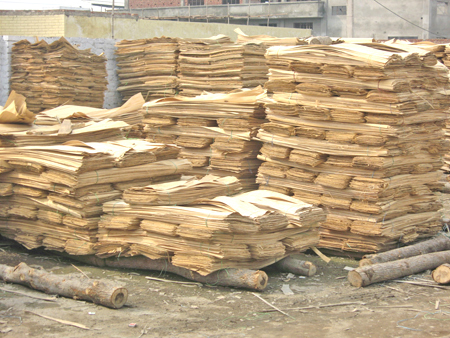 Decorative Plywood