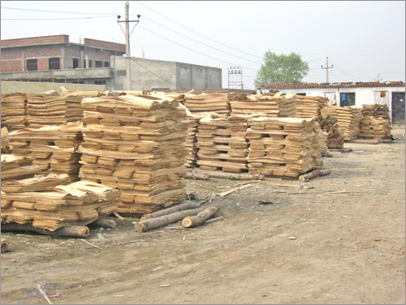 Decorative Plywood