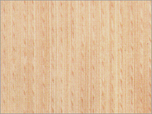 Plywood - Steam Beach (A-13)