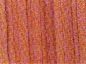 Plywood - Burma Teak