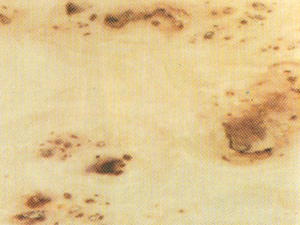 Plywood - Mappa Burl