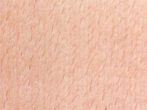 Plywood - Steam Beech