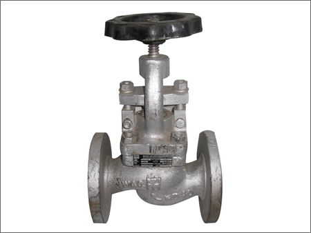 CS Globe Valve