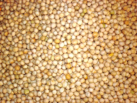 Yellow Peas