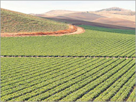 Farms