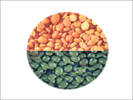 Pulses